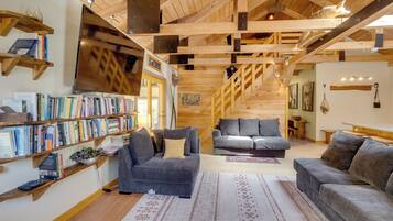 TV, fireplace, books