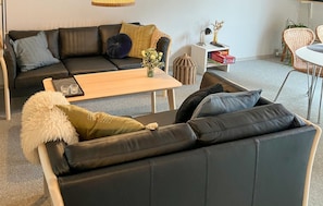 TV - Pet friendly home in Vestervig with sauna (Vestervig)