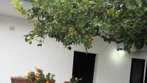 A stone wall with potted plants and a table with chairs. - Apartment° Fiumicino Rosy 3 (Isola Sacra)