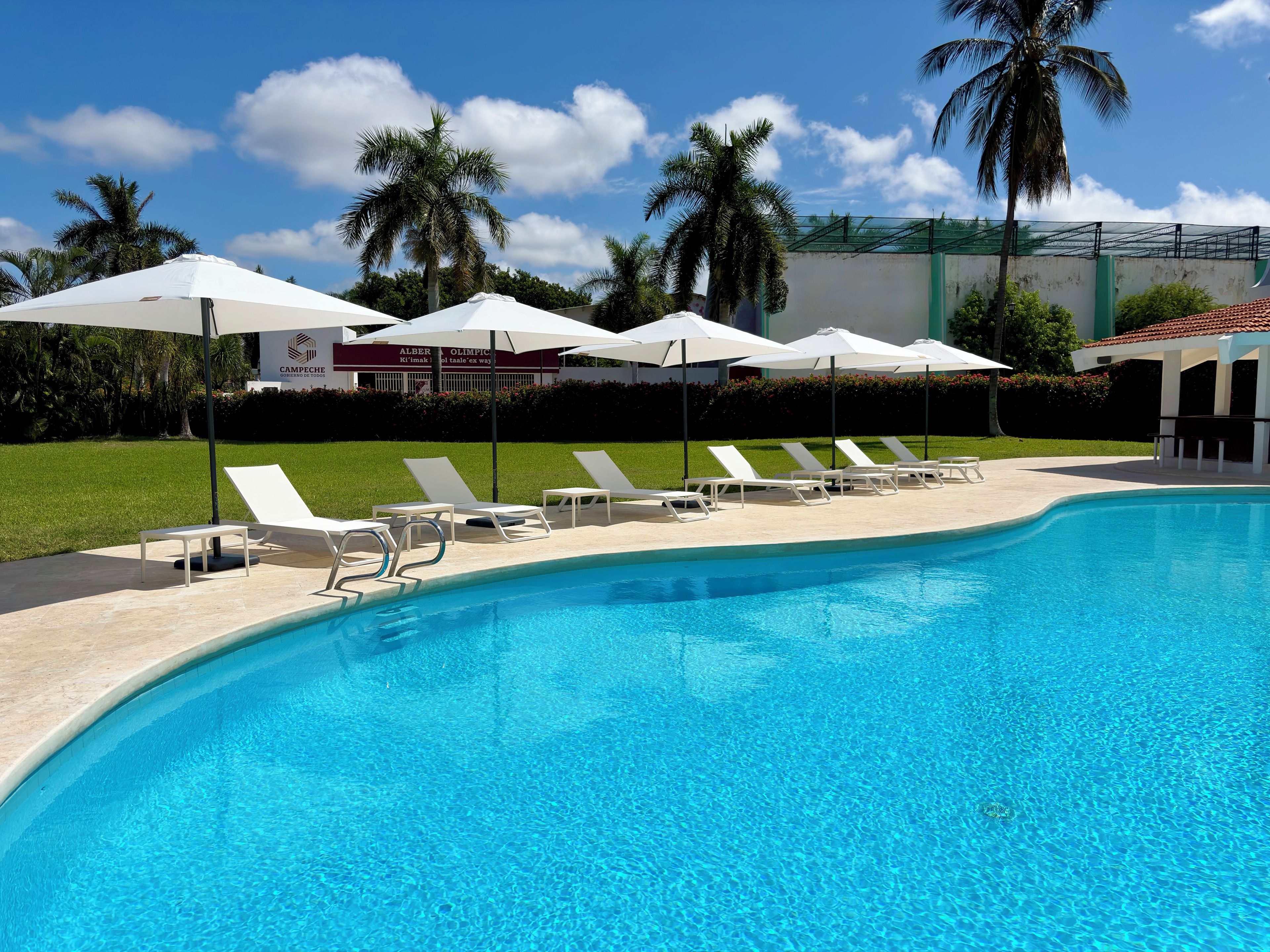 Une piscine entourée de palmiers et d’un bâtiment arborant une enseigne, avec des chaises longues et des parasols à proximité.