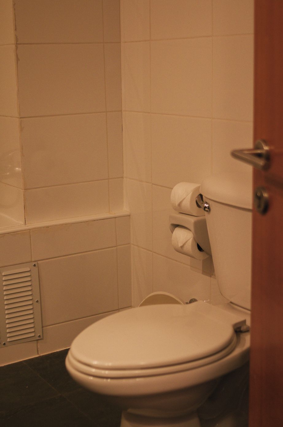 A bathroom with a toilet, a toilet paper holder, and a shower area.