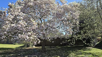 Jardín