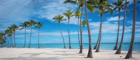 Beach nearby, sun loungers, beach towels