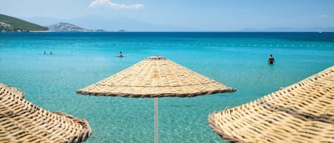 水肺潜水、滑水、排球、划船/划独木舟