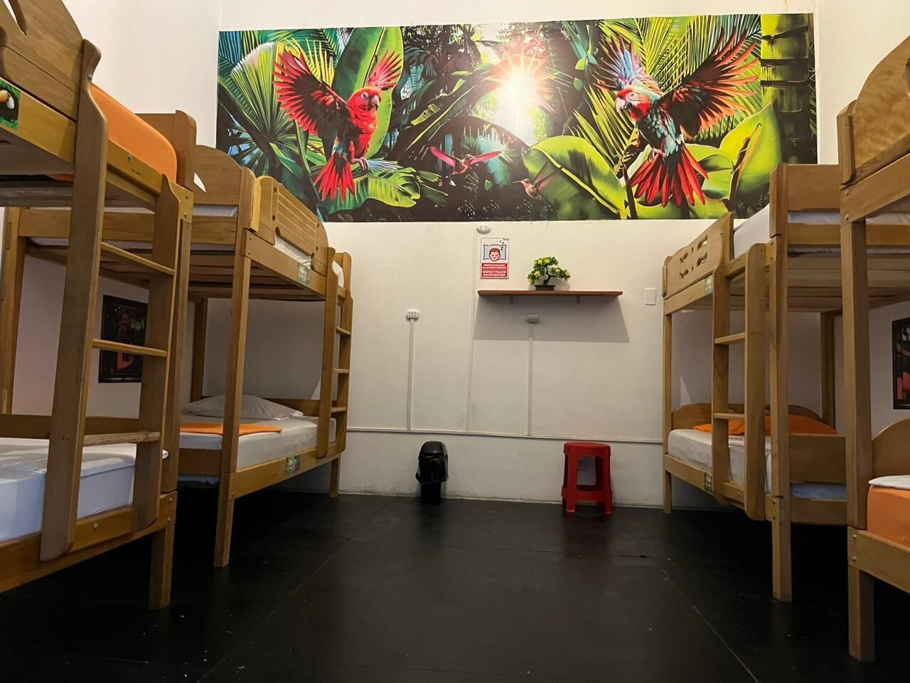 Deluxe Shared Dormitory | Free WiFi