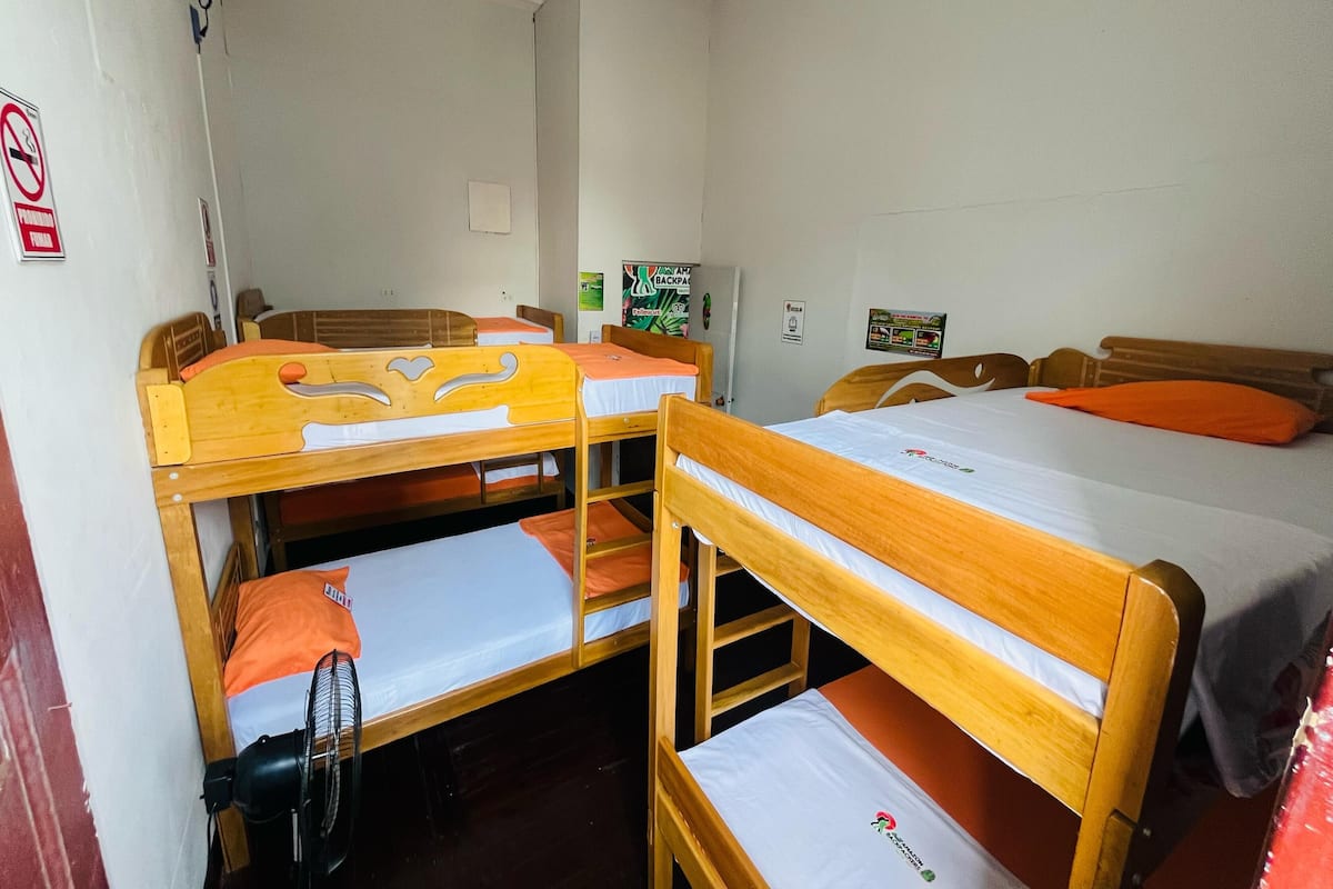 Deluxe Shared Dormitory | Free WiFi