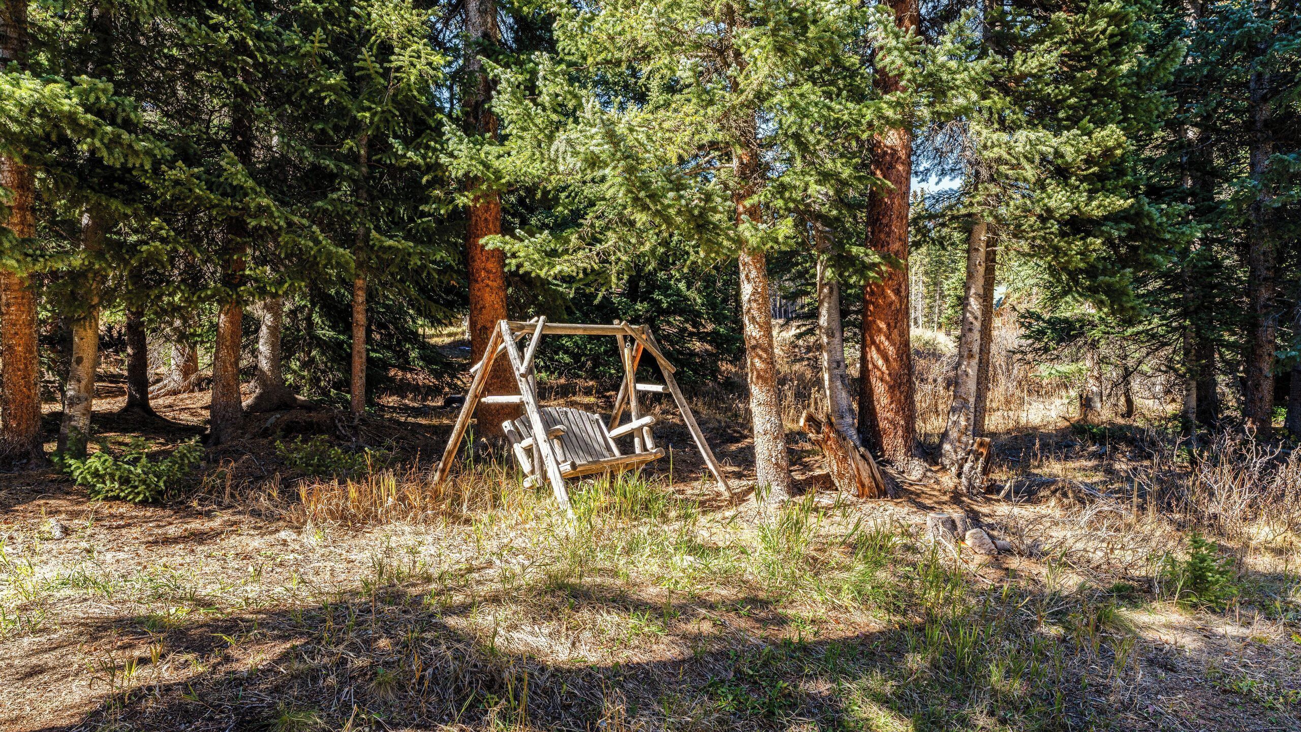 A forest with a wooden swing set.