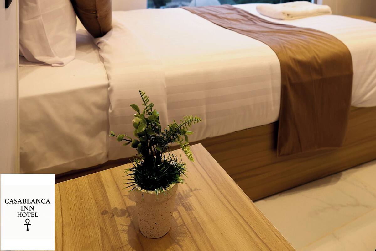A modern hotel room with a large window, a bed, a bedside table with a plant, and a view of a pyramid.