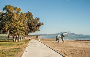 Playa en los alrededores 