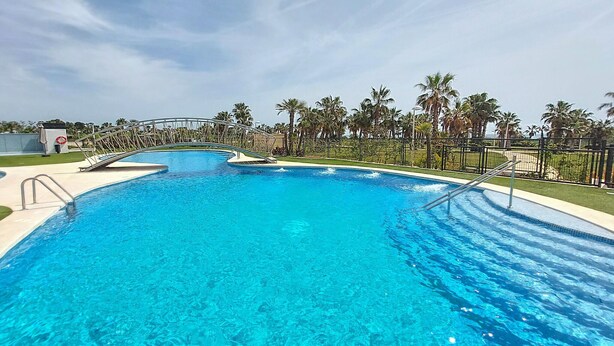 Una piscina azul cristalina con un trampolín y palmeras al fondo.