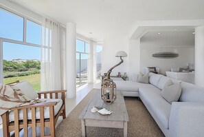 TV connectée, cheminée, livres