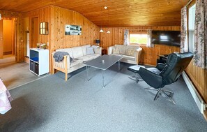 تلفزيون ذكي، مدفأة