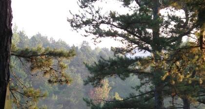 Tranquil 2BR Cabin Getaway in Caddo Gap – Near River, Trails & Hot Springs