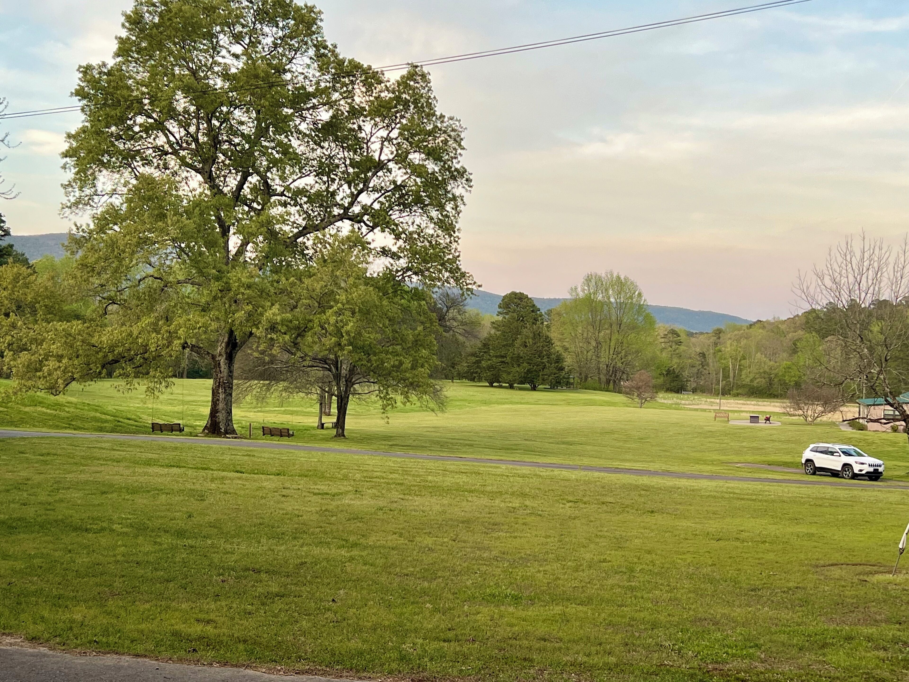 A grassy field with a large tree, a bench, and a white car parked on the side of a road.