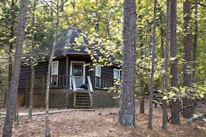 A cabin surrounded by trees with a wooden deck and a ladder leading to the entrance.