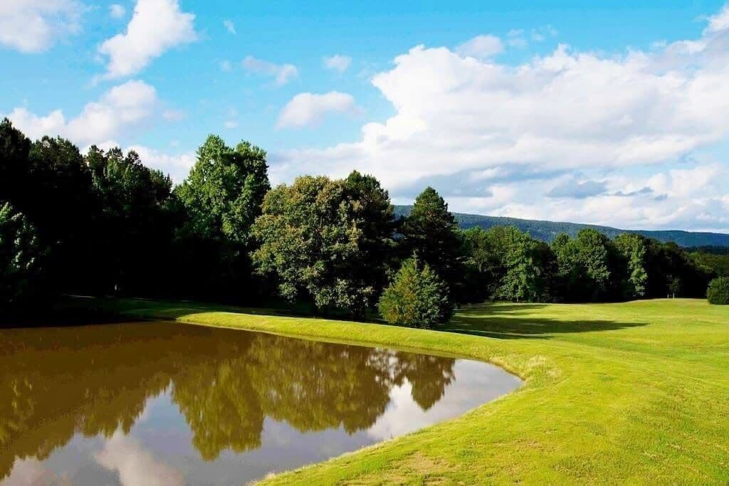 Un paisaje sereno con un estanque, hierba verde exuberante y árboles bajo un cielo despejado.