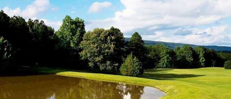 Un paisaje sereno con un estanque, hierba verde exuberante y árboles bajo un cielo despejado.