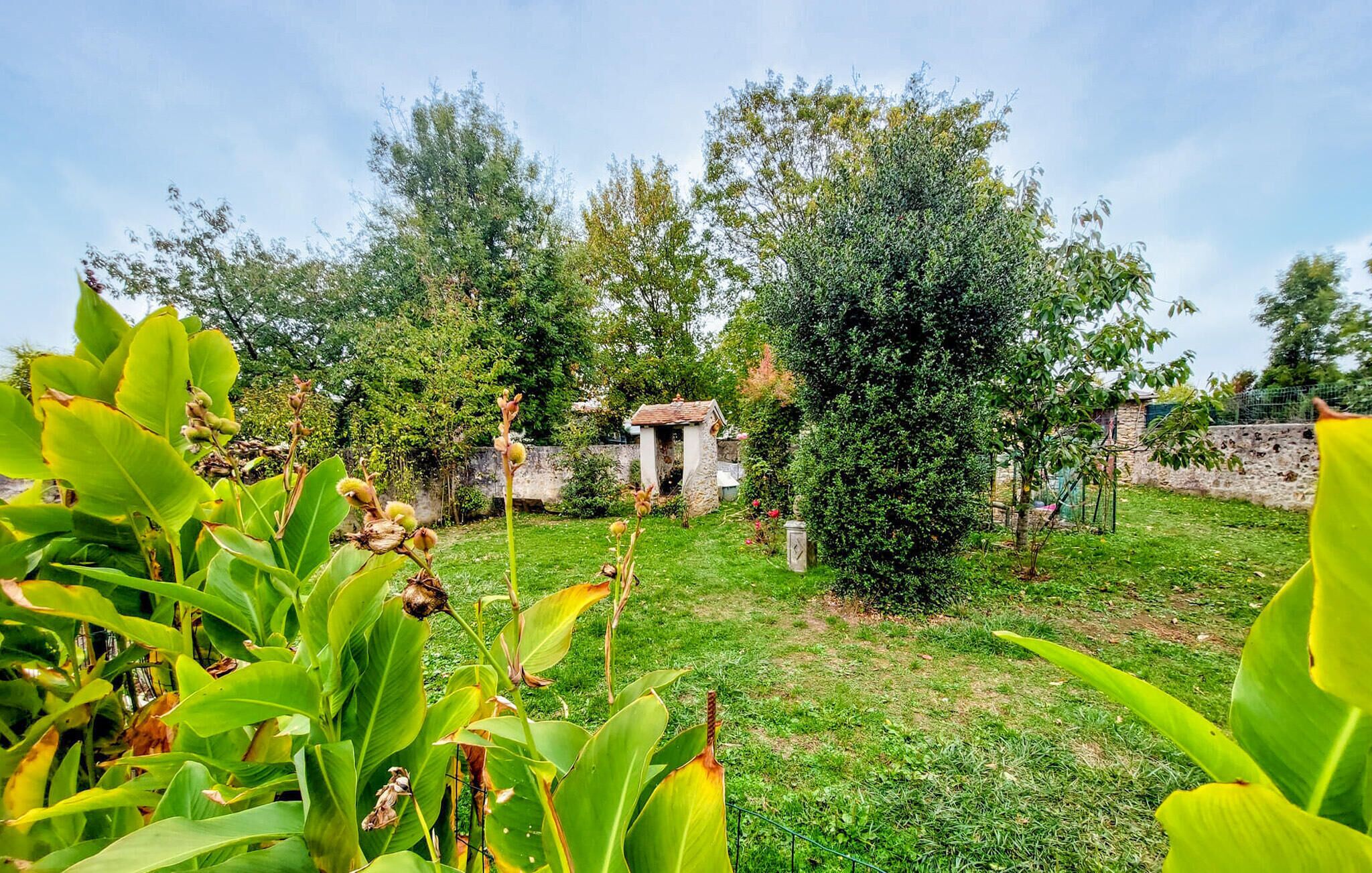 Un jardin agrémenté d’une structure en pierre, de différentes plantes et d’un ciel dégagé.