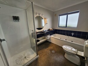Hair dryer, towels, soap, shampoo - ASURE Albert Park Motor Lodge (Te Awamutu)