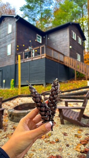 Property grounds - Private Ridgetop Retreat RRG: Hot Tub & Dogs OK (Campton)