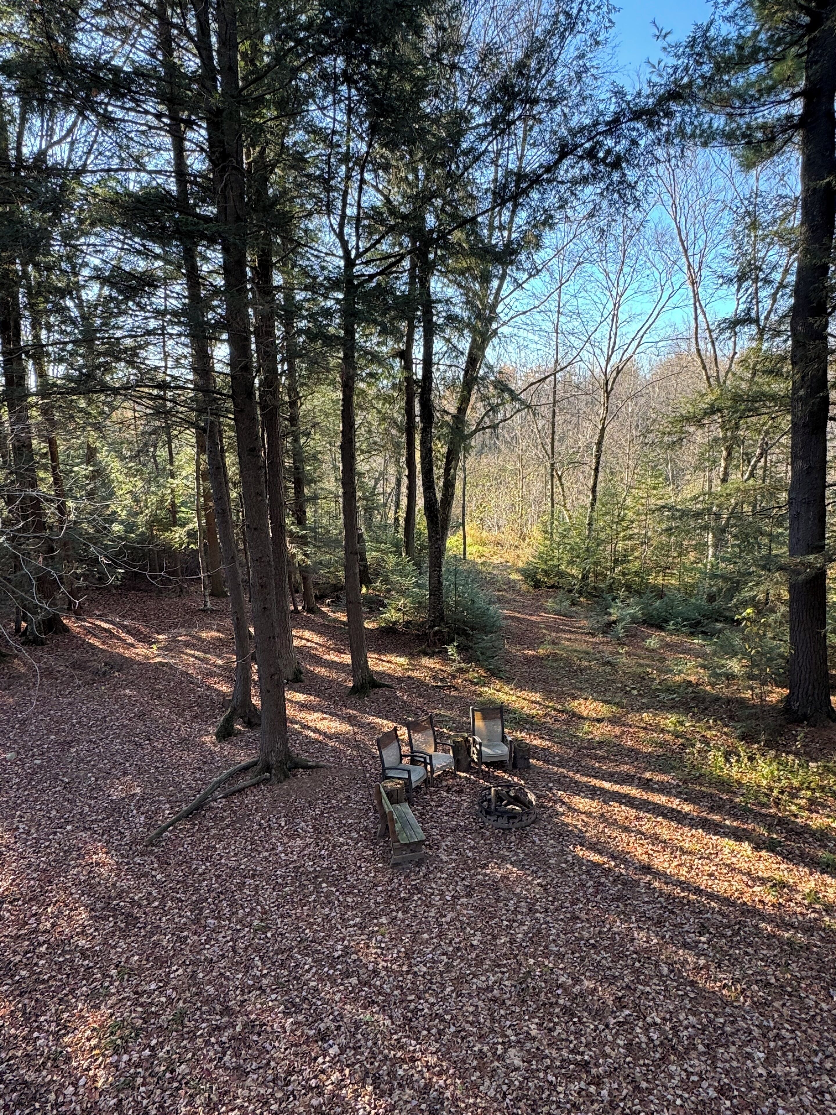Terrain de l’hébergement 