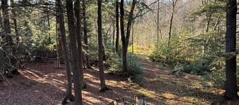 Secluded Treehouse w/ River & Trail Access