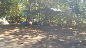 A campsite with multiple tents and a hammock. - Paradise point camping - Dome 2 (Tamarindo)