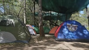 A row of tents in a forested area with a dirt ground. - Paradise point camping - Dome 1 (Tamarindo)