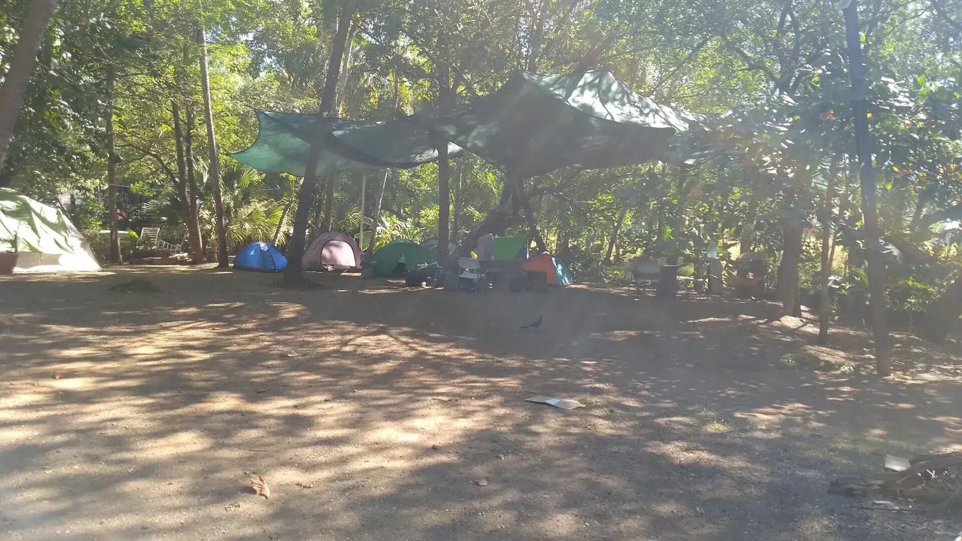 Un camping con varias tiendas de campaña y una hamaca.