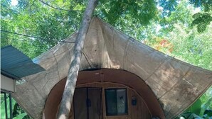 A small, enclosed wooden structure with a thatched roof, a bench inside, and a door. - Paradise point camping - Bungalow (Tamarindo)