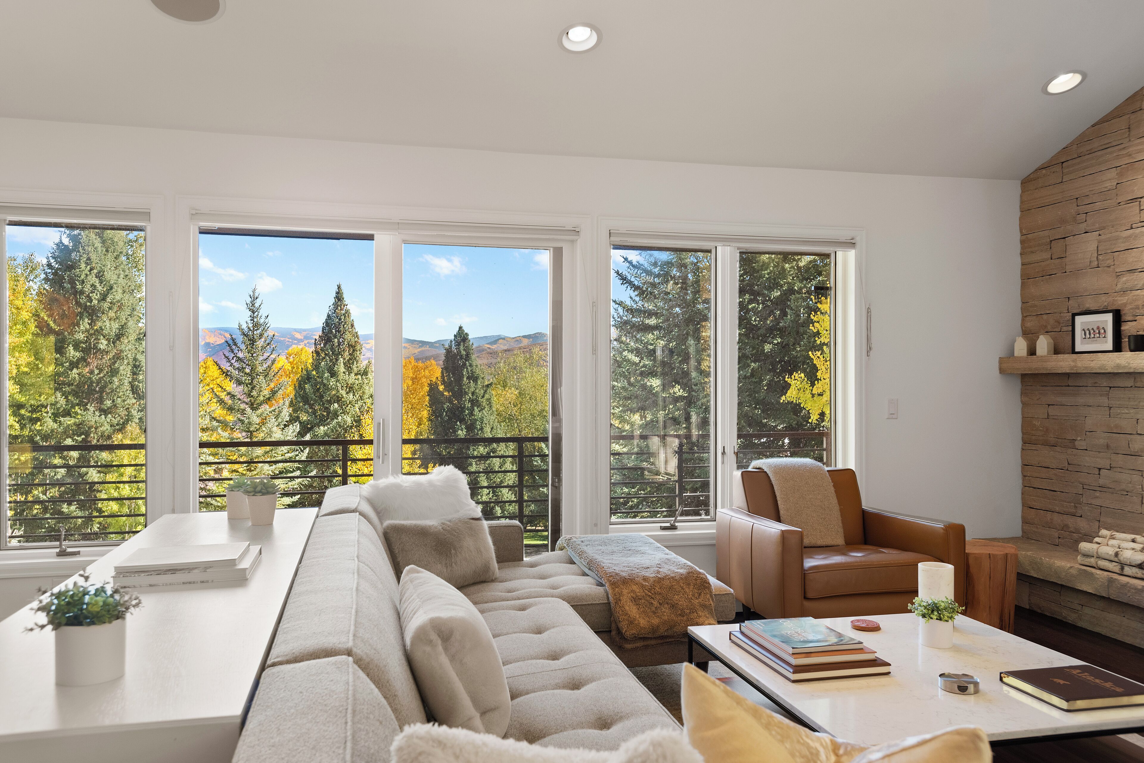 Fernseher, Kamin, Bücher, Stereoanlage