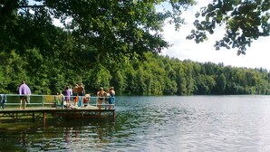 Eine Anlegestelle mit Menschen, umgeben von einem ruhigen See und dichter Baumlandschaft.