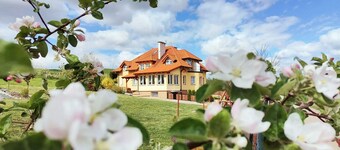 1 bedroom lovely apartment in Golubie