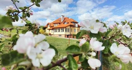 1 bedroom lovely apartment in Golubie