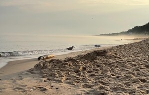 Pesca