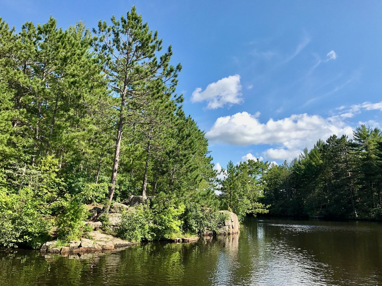 A serene lakeside scene with dense green trees and a calm water body.