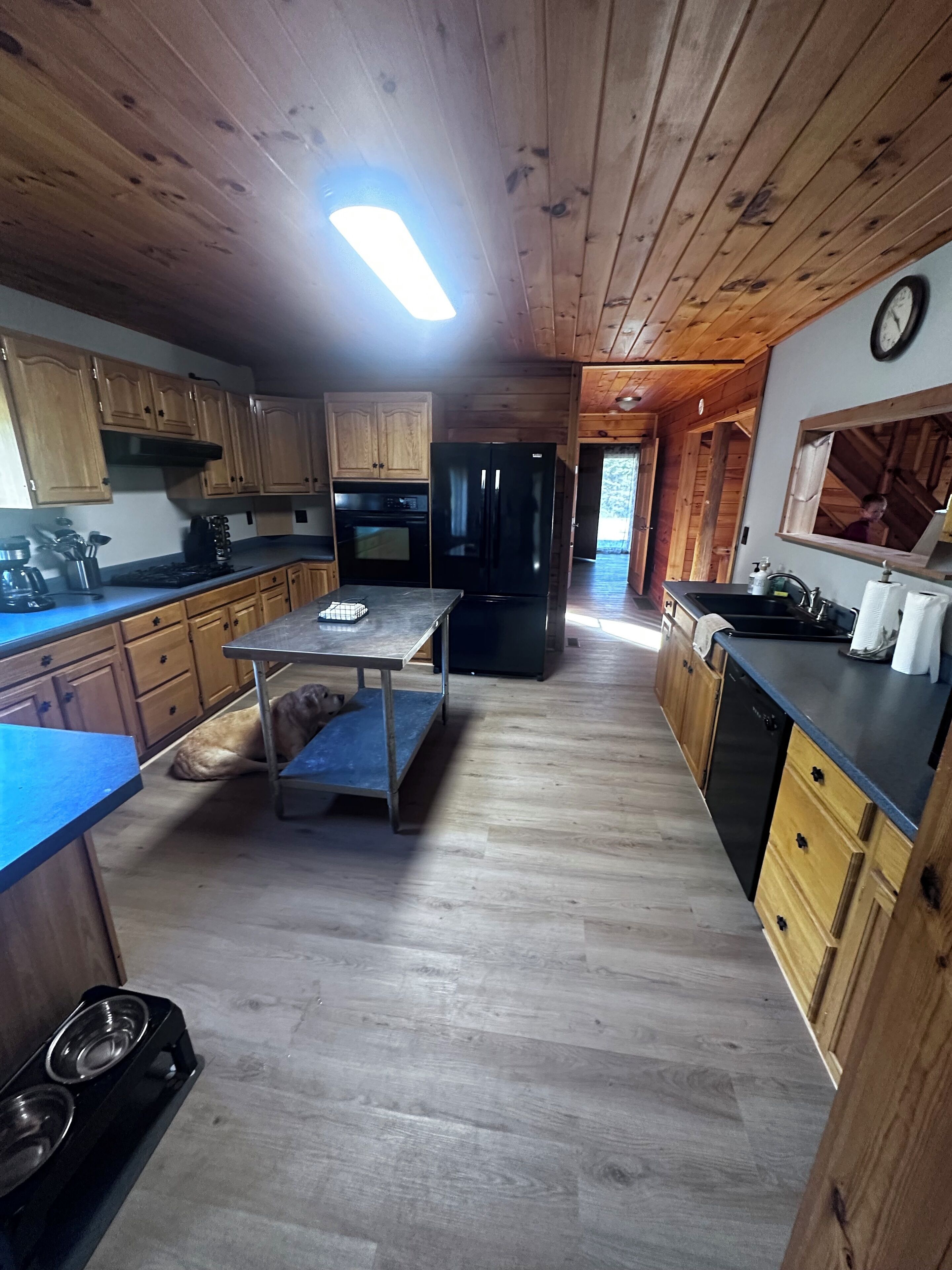 Mikrowelle, Ofen, Herdplatte, Geschirrspüler