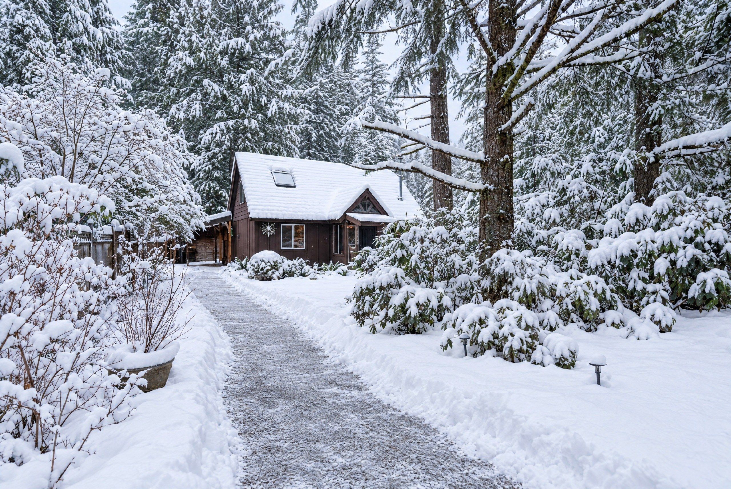 A cabin surrounded by snow-covered trees and a gravel path leading to the entrance.