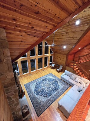 TV connectée, cheminée, lecteur de DVD, livres