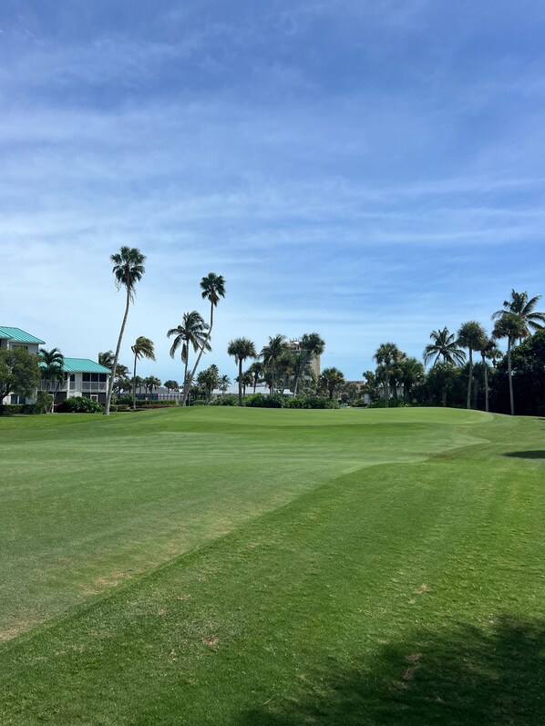 Un campo de golf bien cuidado, cielo despejado, palmeras y un edificio con techo verde al fondo.