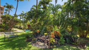 Um jardim com um banco, palmeiras e diversas plantas.