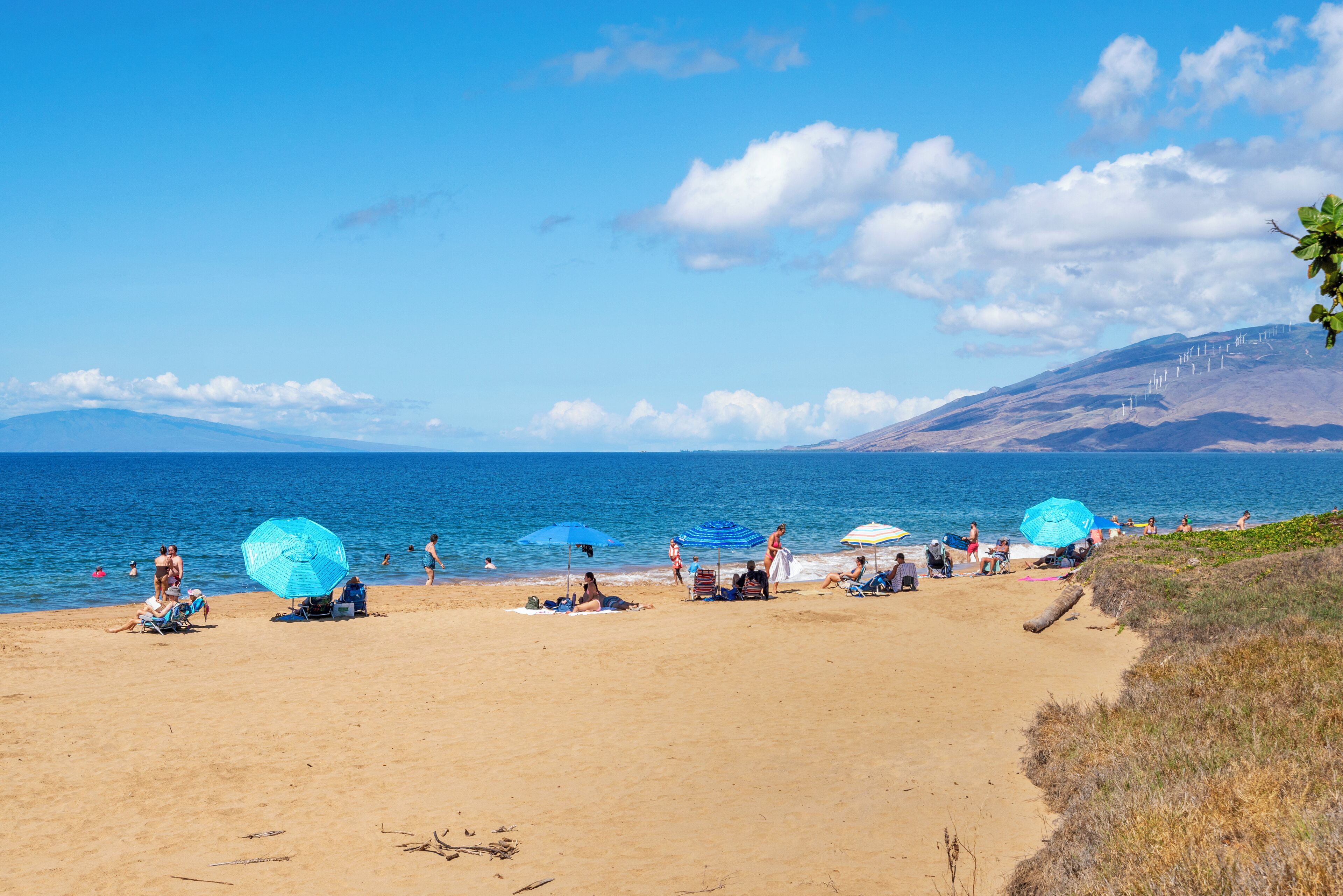 Plage à proximité, chaises longues, serviettes de plage