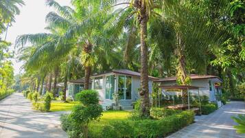 Basic Room, Garden View | Garden view