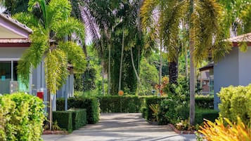 ์ค์ํธ, ์ ์ ์ ๋ง | ์ ์ ์ ๋ง