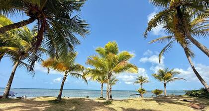Casa Cielo Azul-Beachfront, private rooftop; 3 bedroom, 2 bath Luquillo Escape
