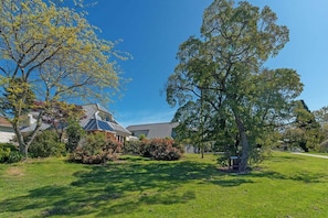Property grounds - Queen's Garden Villa (Nelson City)