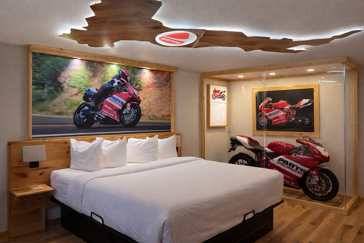 Habitación individual Confort, vista a la alberca | Escritorio y wifi gratis