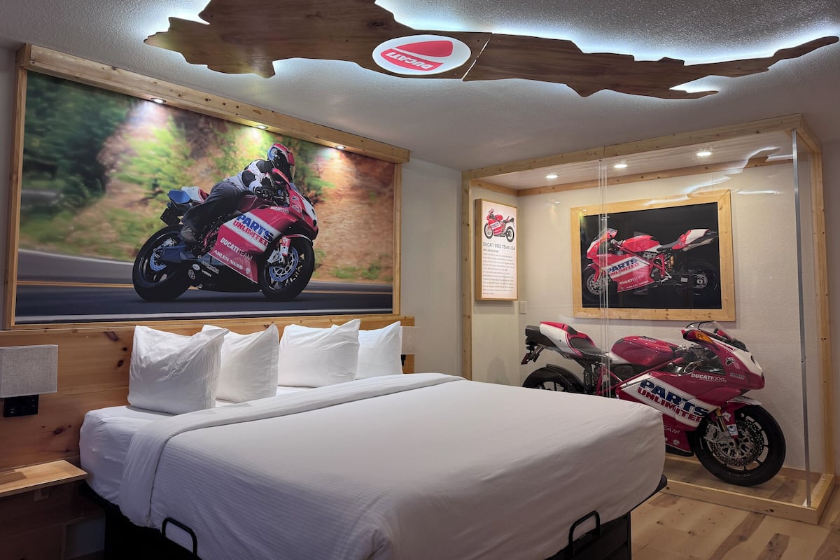 Comfort Single Room, Pool View | Desk, free WiFi