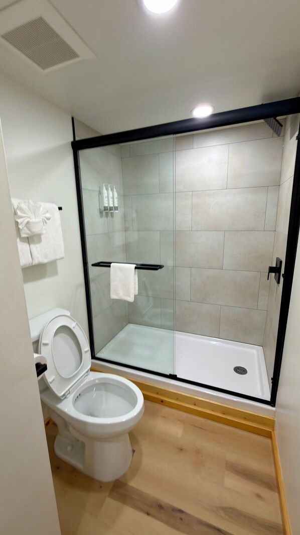 Indian FTR RSD Hooligan | Bathroom | Shower, hair dryer, towels, soap