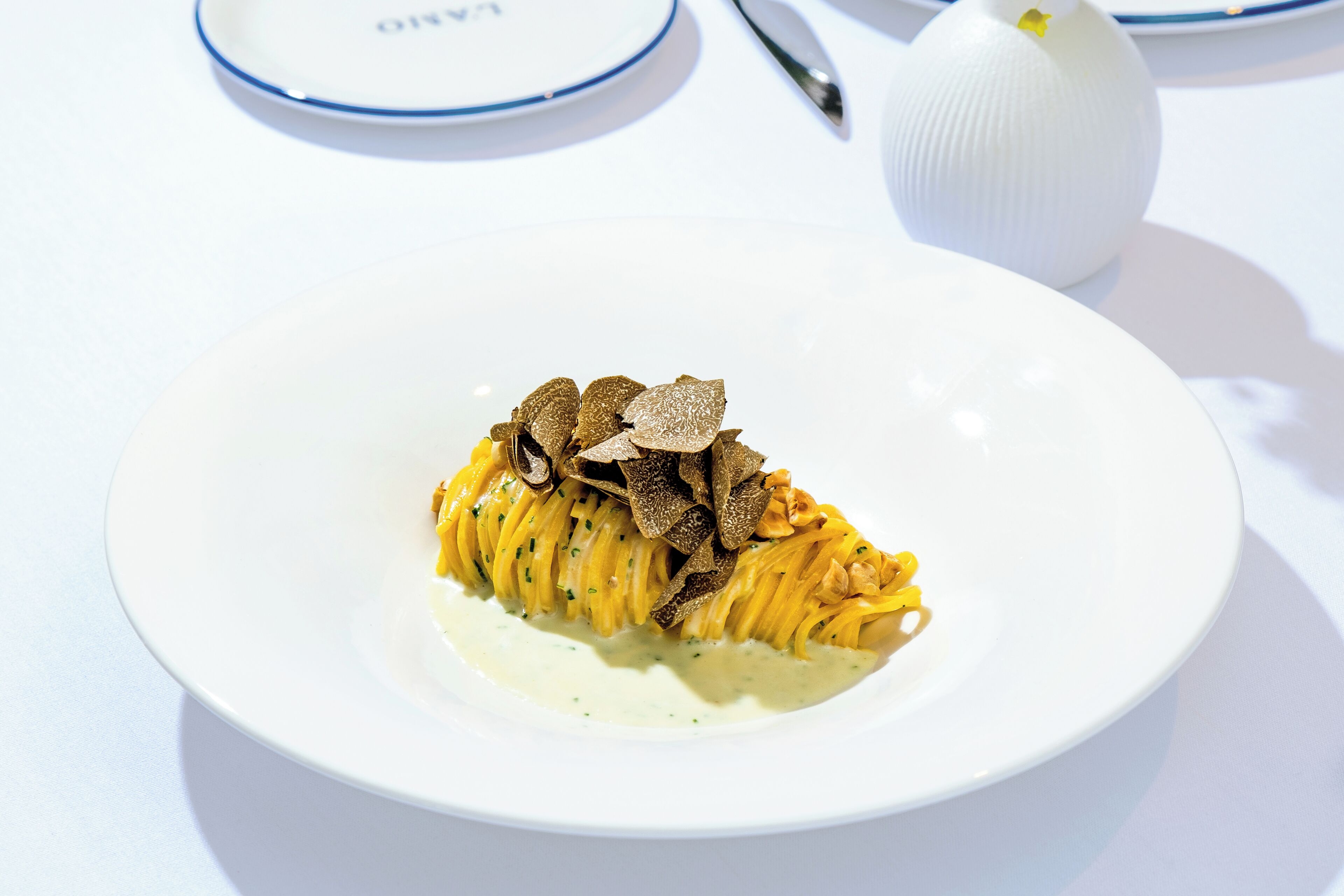 A white plate with pasta and truffles on a white table.